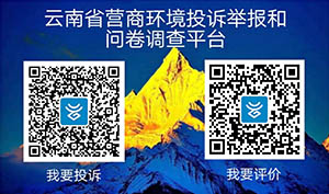 云南省营商环境投诉举报和问卷调查平台